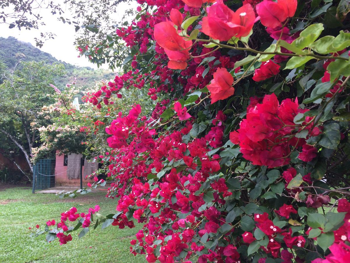 Casa Colonial Terrea No Saco Da Capela Em Ilhabela Villa Eksteriør billede